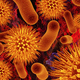 Illustration for article titled What Your Stomach Bacteria Says About You